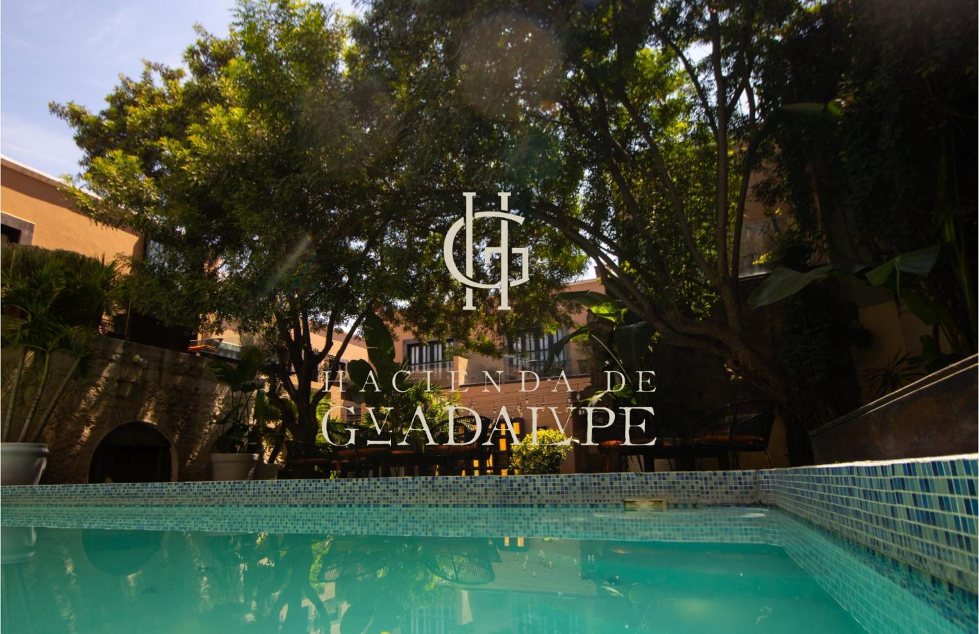 סאן מיגל דה אלנדה Hotel Boutique Hacienda Guadalupe מראה חיצוני תמונה